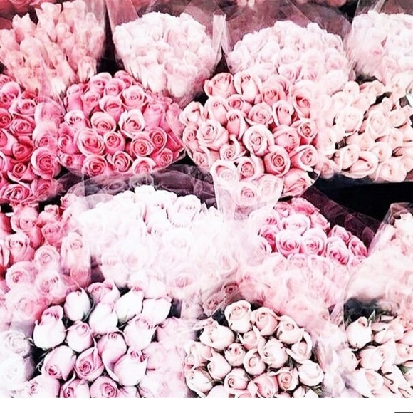 Meet your Posher, Courtney - Picture 1 of 1